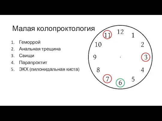 Малая колопроктология Геморрой Анальная трещина Свищи Парапроктит ЭКХ (пилонидальная киста)