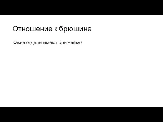 Отношение к брюшине Какие отделы имеют брыжейку?