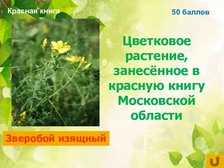 50 баллов Цветковое растение, занесённое в красную книгу Московской области Зверобой изящный Красная книга