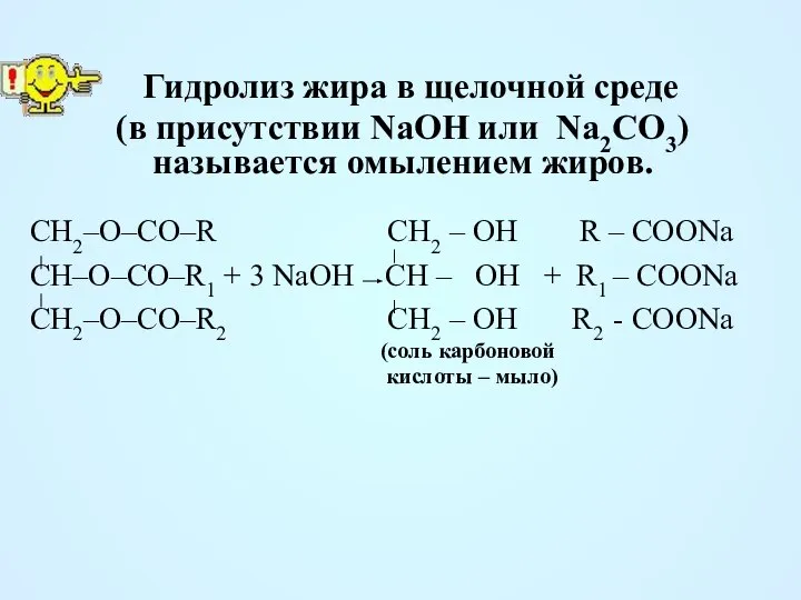 Гидролиз жира в щелочной среде (в присутствии NaOH или Na2CO3) называется