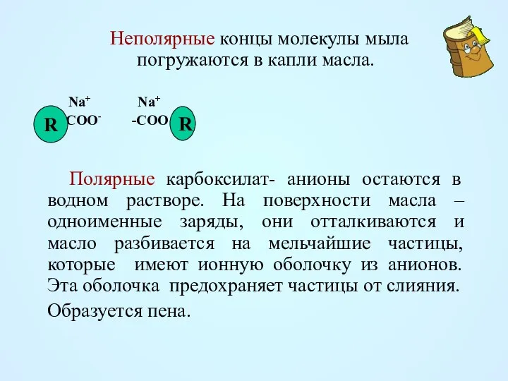 Неполярные концы молекулы мыла погружаются в капли масла. Na+ Na+ -COO-