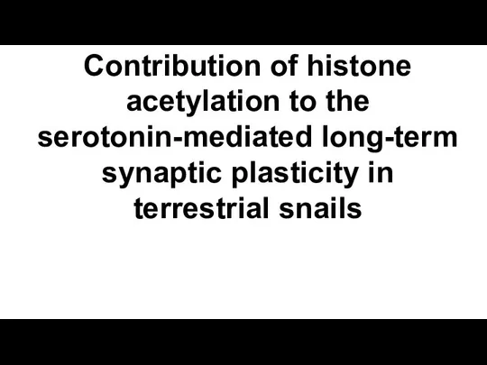 Contribution of histone acetylation to the serotonin-mediated long-term synaptic plasticity in terrestrial snails