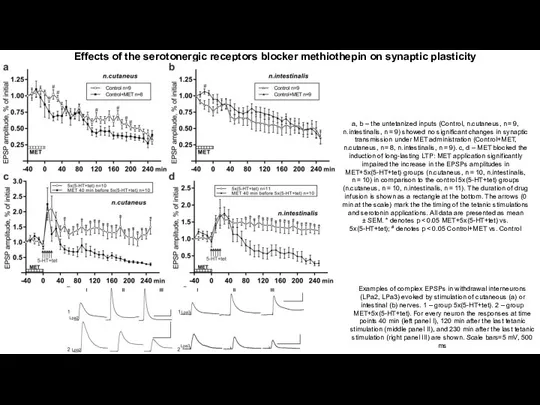 Effects of the serotonergic receptors blocker methiothepin on synaptic plasticity a,