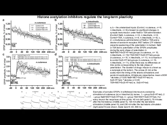 Histone acetylation inhibitors regulate the long-term plasticity a, b – the