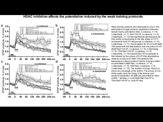 HDAC inhibition affects the potentiation induced by the weak training protocols