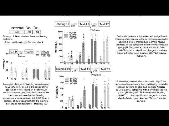 Enhancement of memory by the histone deacetylase inhibitor sodium butyrate Scheme