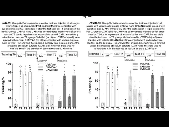 Reinstatement of cycloheximide-impaired contextual memory by the histone deacetylase inhibitor sodium