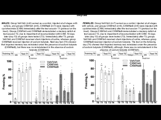 Reinstatement of cycloheximide-impaired contextual memory by the histone deacetylase inhibitor sodium