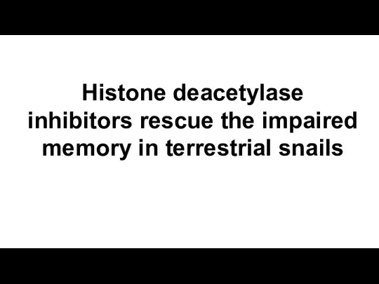 Histone deacetylase inhibitors rescue the impaired memory in terrestrial snails