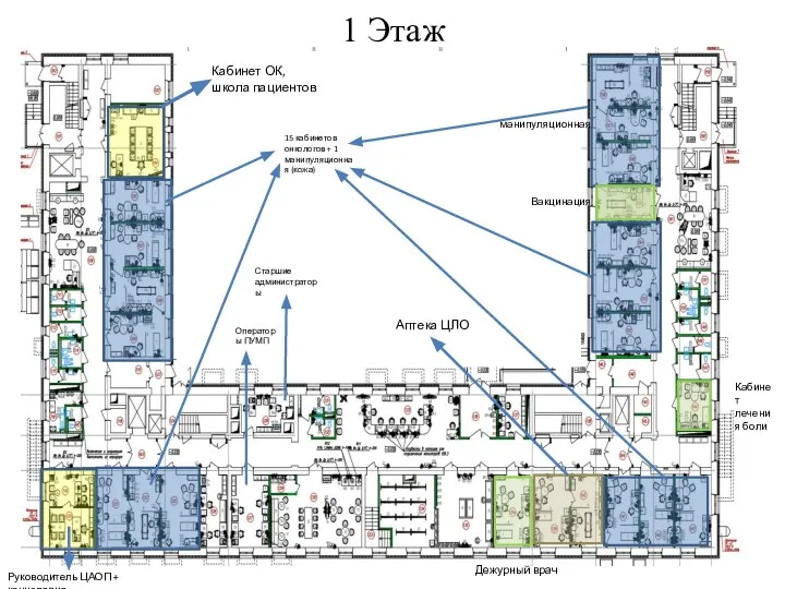 1 Этаж Кабинет ОК, школа пациентов 15 кабинетов онкологов + 1