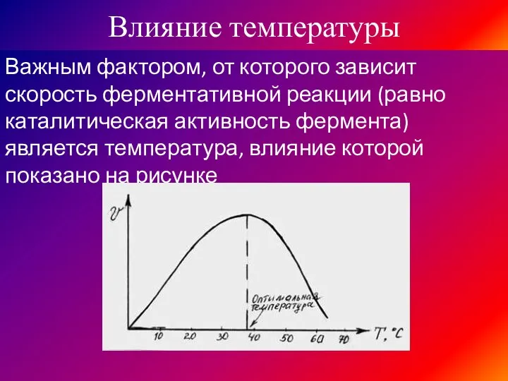 Влияние температуры Важным фактором, от которого зависит скорость ферментативной реакции (равно