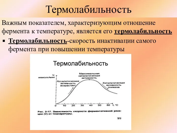 Термолабильность Важным показателем, характеризующим отношение фермента к температуре, является его термолабильность