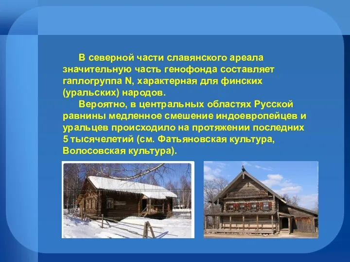 В северной части славянского ареала значительную часть генофонда составляет гаплогруппа N,