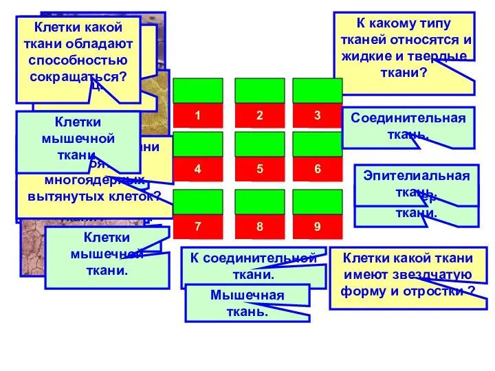 7 Клетки нервной ткани. Соединительная ткань. Клетки какой ткани обладают раздражимостью,