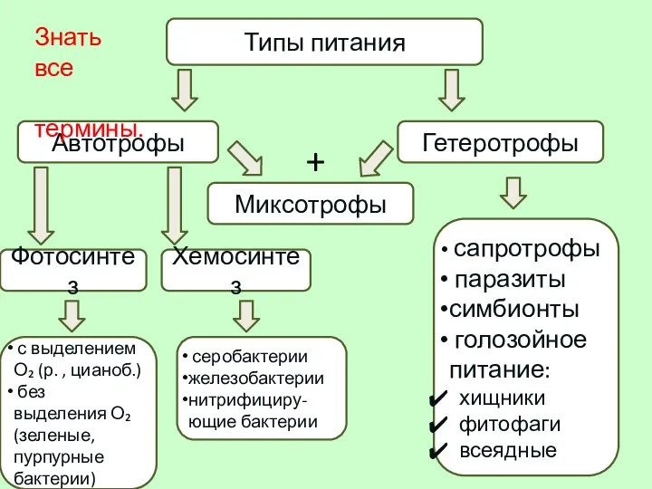 Типы питания Гетеротрофы Автотрофы Фотосинтез Хемосинтез Миксотрофы с выделением О₂ (р.