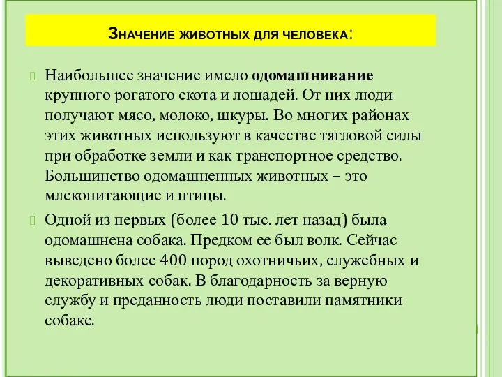 Значение животных для человека: Наибольшее значение имело одомашнивание крупного рогатого скота