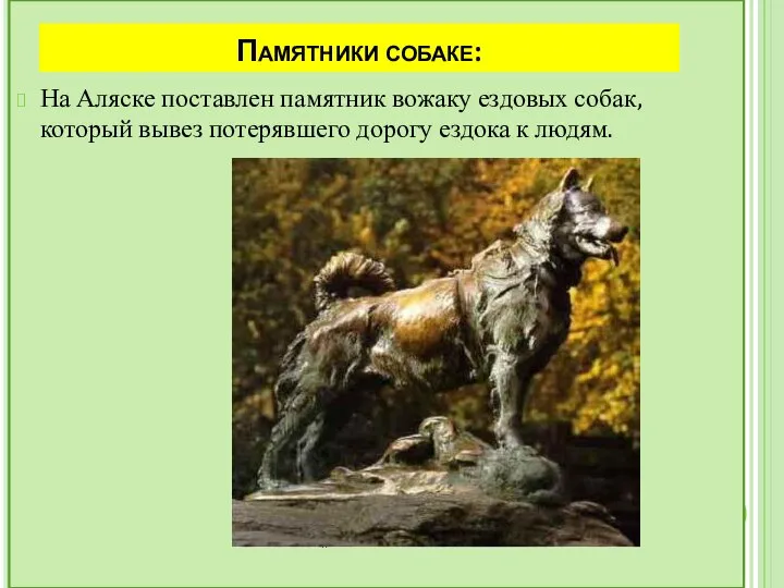 Памятники собаке: На Аляске поставлен памятник вожаку ездовых собак, который вывез потерявшего дорогу ездока к людям.