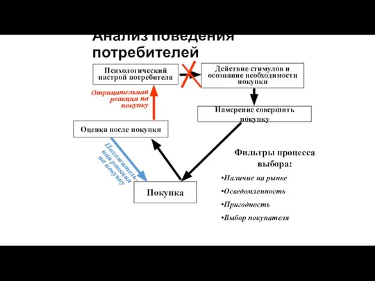 Анализ поведения потребителей Психологический настрой потребителя Действие стимулов и осознание необходимости