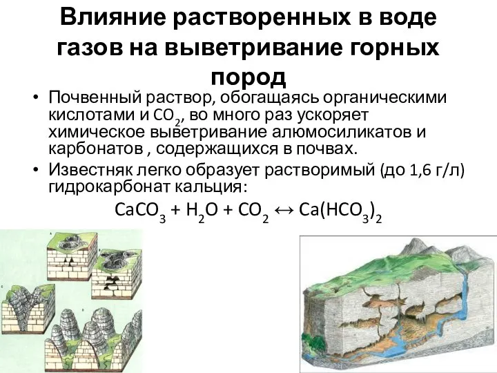 Влияние растворенных в воде газов на выветривание горных пород Почвенный раствор,