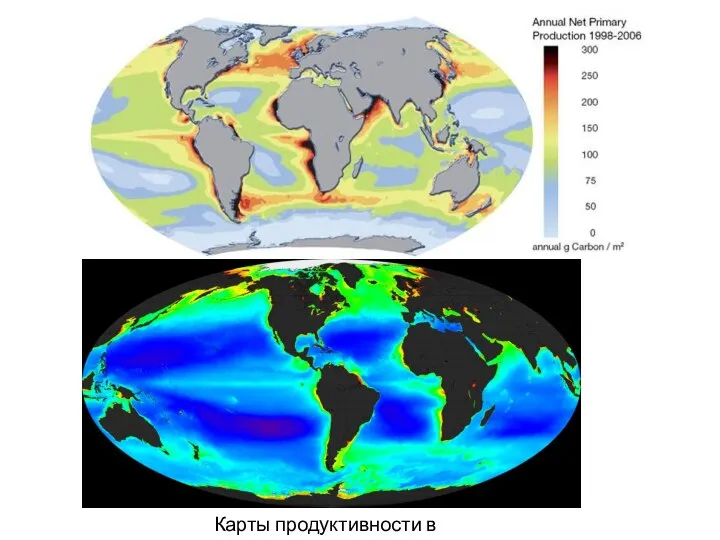 Карты продуктивности в океане