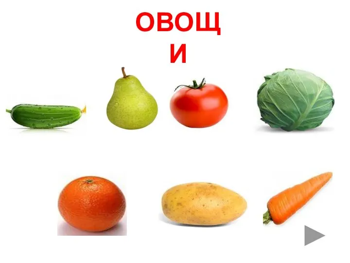 ОВОЩИ