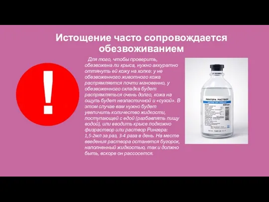 Истощение часто сопровождается обезвоживанием Для того, чтобы проверить, обезвожена ли крыса,