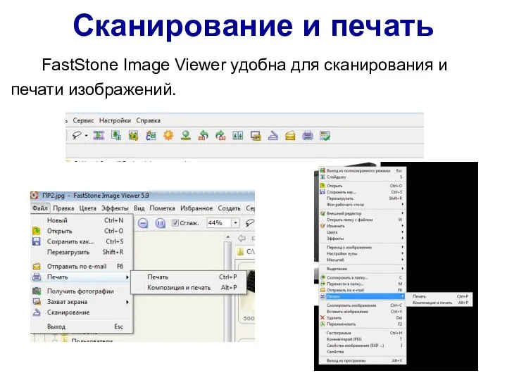 Сканирование и печать FastStone Image Viewer удобна для сканирования и печати изображений.