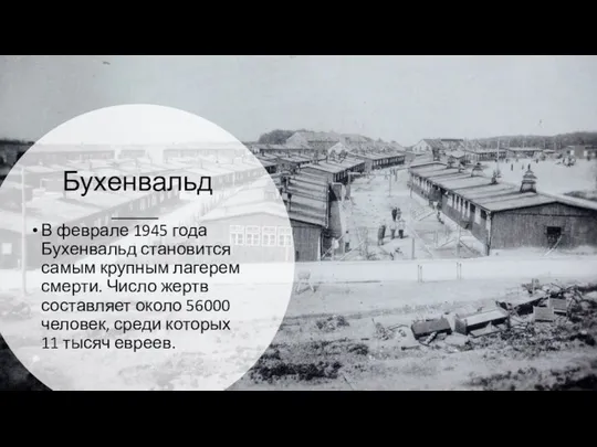 Бухенвальд В феврале 1945 года Бухенвальд становится самым крупным лагерем смерти.