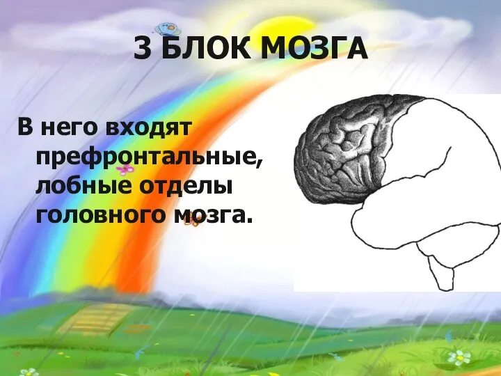 3 БЛОК МОЗГА В него входят префронтальные, лобные отделы головного мозга.