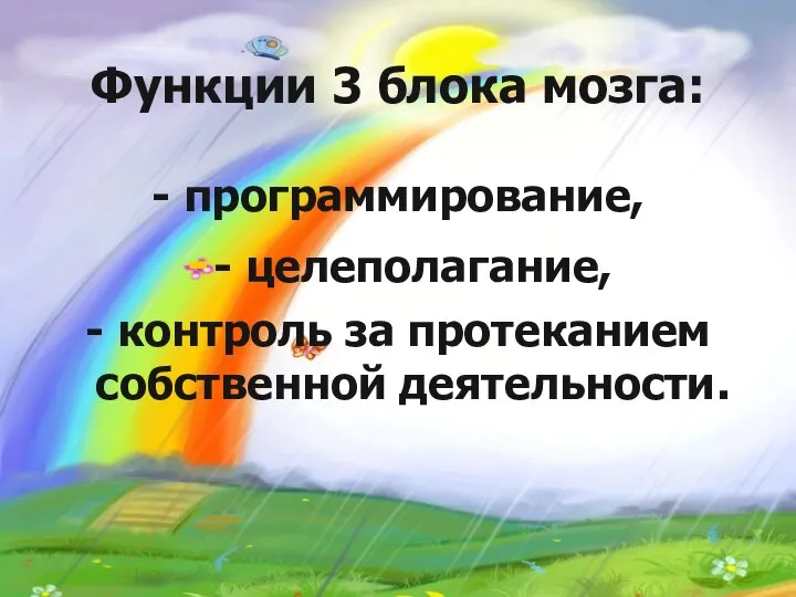 Функции 3 блока мозга: - программирование, - целеполагание, - контроль за протеканием собственной деятельности.