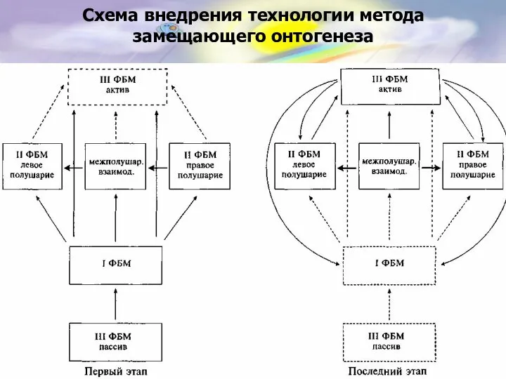 Схема внедрения технологии метода замещающего онтогенеза