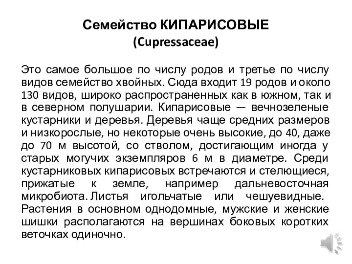 Семейство КИПАРИСОВЫЕ (Cupressaceae) Это самое большое по числу родов и третье