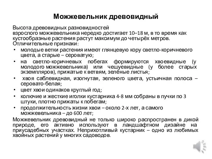 Можжевельник древовидный Высота древовидных разновидностей взрослого можжевельника нередко достигает 10–18 м,