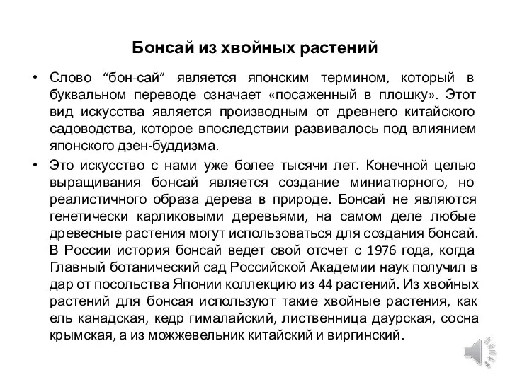 Бонсай из хвойных растений Слово “бон-сай” является японским термином, который в