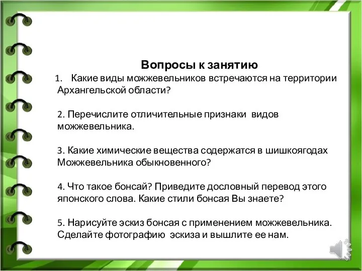 Вопросы к занятию Какие виды можжевельников встречаются на территории Архангельской области?