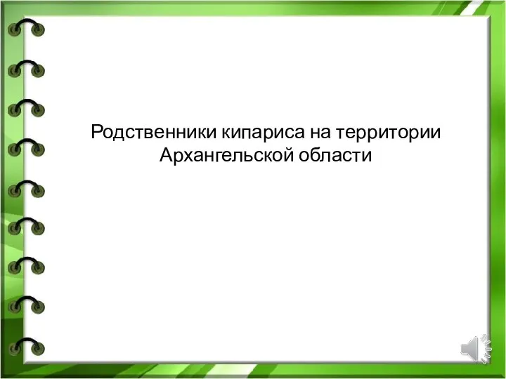 Родственники кипариса на территории Архангельской области