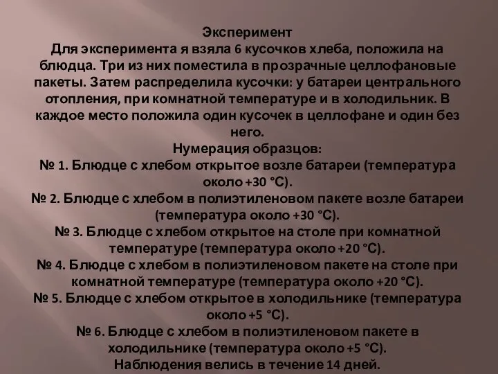 Эксперимент Для эксперимента я взяла 6 кусочков хлеба, положила на блюдца.