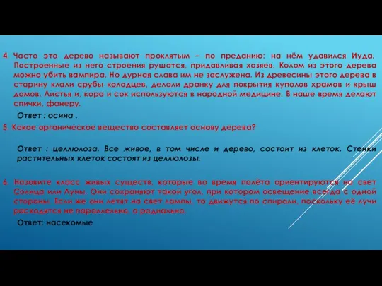 4. Часто это дерево называют проклятым – по преданию: на нём