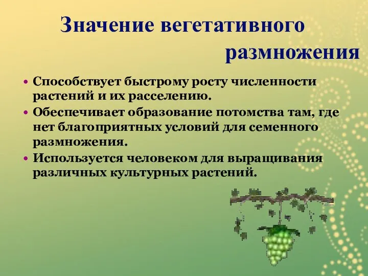 Способствует быстрому росту численности растений и их расселению. Обеспечивает образование потомства