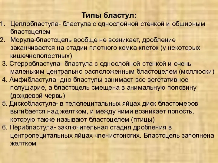 Типы бластул: Целлобластула- бластула с однослойной стенкой и обширным бластоцелем Морула-бластоцель