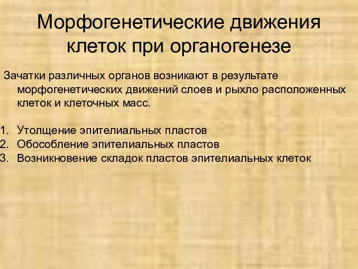 Морфогенетические движения клеток при органогенезе Зачатки различных органов возникают в результате