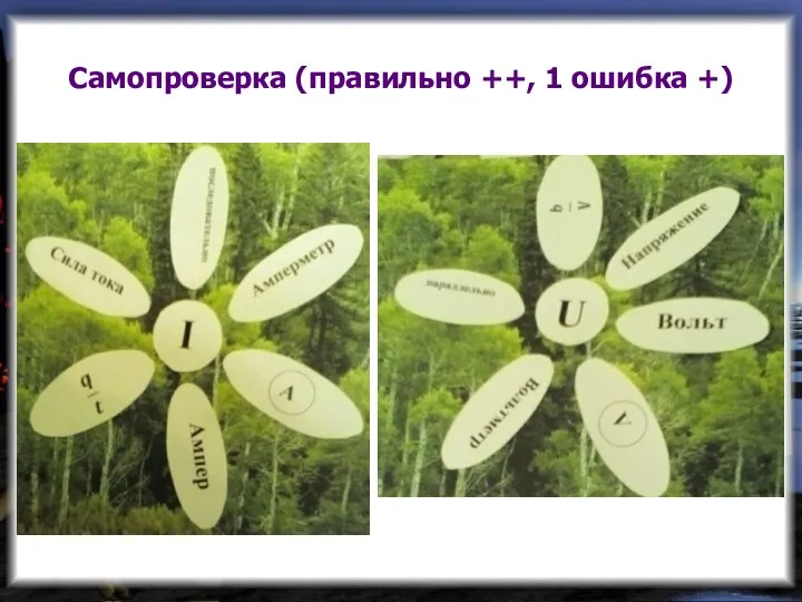 Самопроверка (правильно ++, 1 ошибка +)