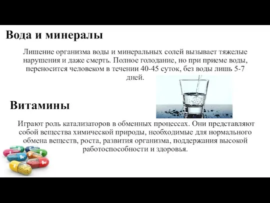 Вода и минералы Лишение организма воды и минеральных солей вызывает тяжелые