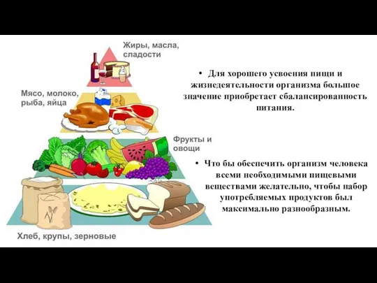 Для хорошего усвоения пищи и жизнедеятельности организма большое значение приобретает сбалансированность