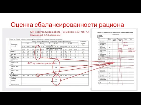 Оценка сбалансированности рациона