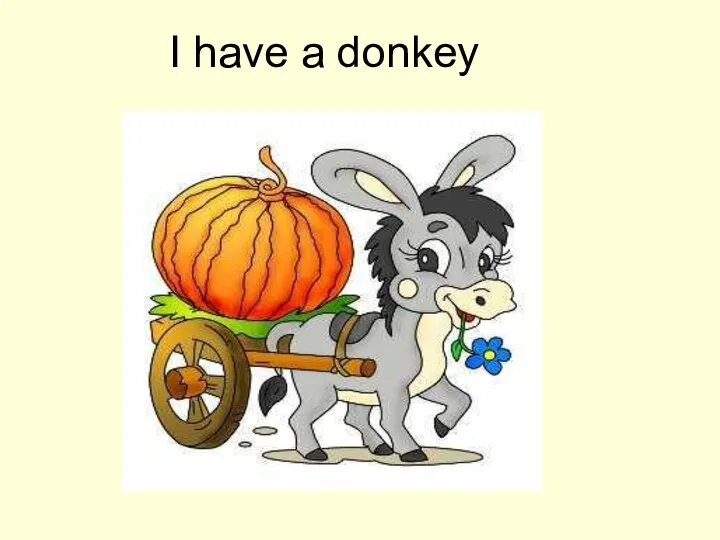 I have a donkey