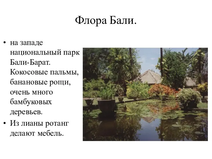 Флора Бали. на западе национальный парк Бали-Барат. Кокосовые пальмы, банановые рощи,