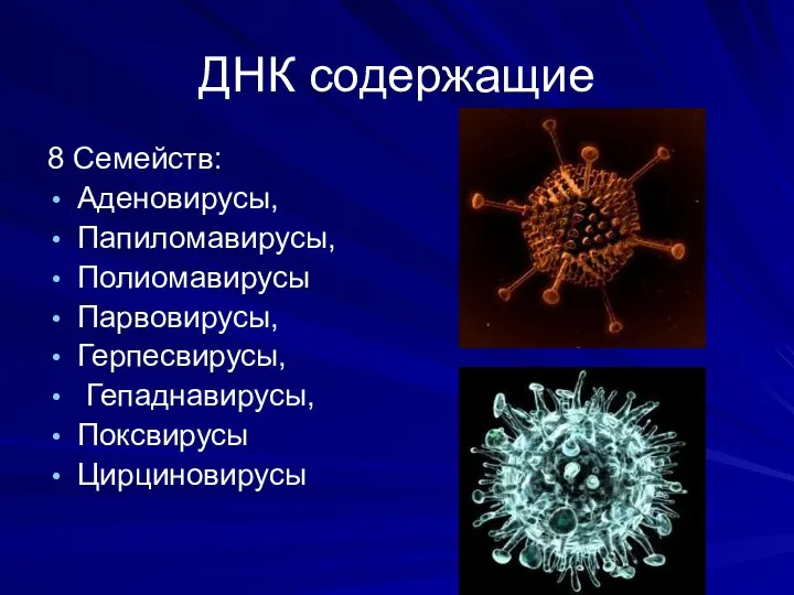 ДНК содержащие 8 Семейств: Аденовирусы, Папиломавирусы, Полиомавирусы Парвовирусы, Герпесвирусы, Гепаднавирусы, Поксвирусы Цирциновирусы