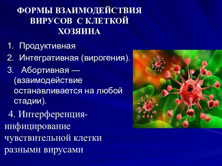 ФОРМЫ ВЗАИМОДЕЙСТВИЯ ВИРУСОВ С КЛЕТКОЙ ХОЗЯИНА 1. Продуктивная 2. Интегративная (вирогения).