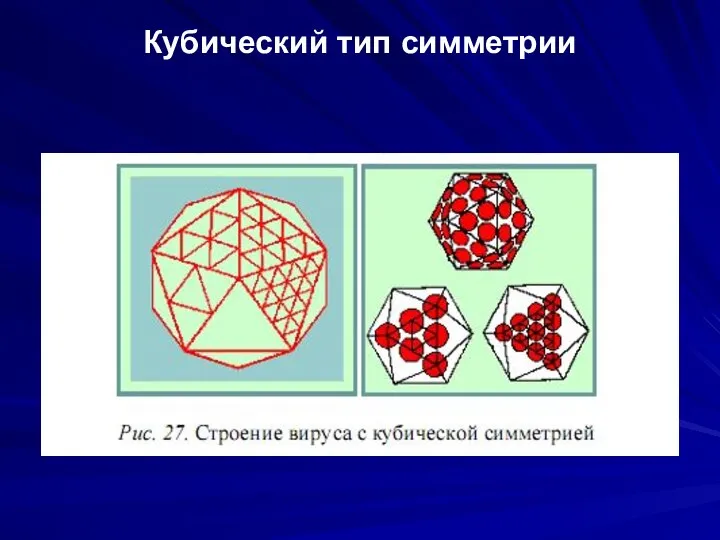 Кубический тип симметрии